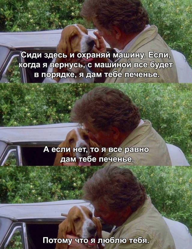 Смешные картинки - 20.11.2025