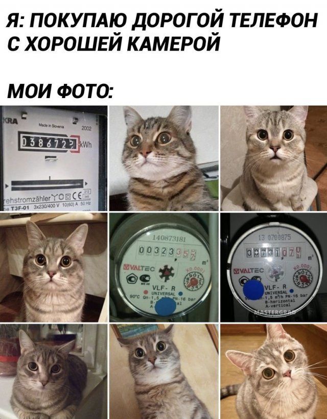 Смешные картинки - 20.11.2025