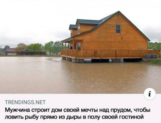 Смешные картинки - 20.11.2025