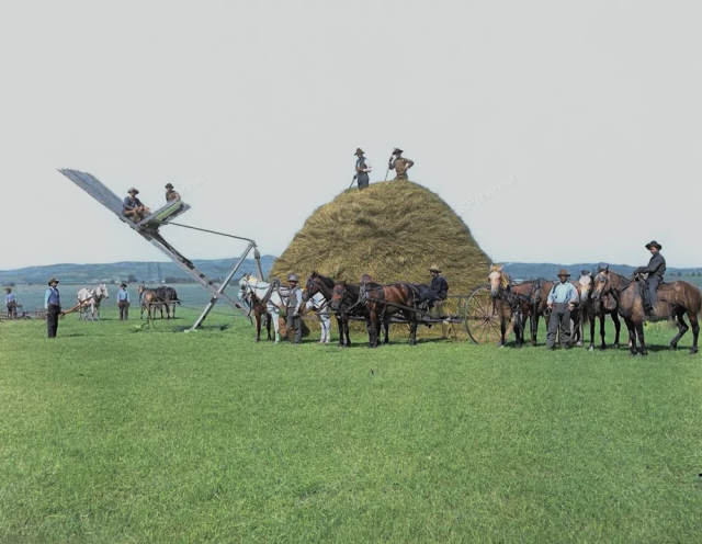 Укладка сена в стога в округе Баффало, штат Небраска, 1903 год.