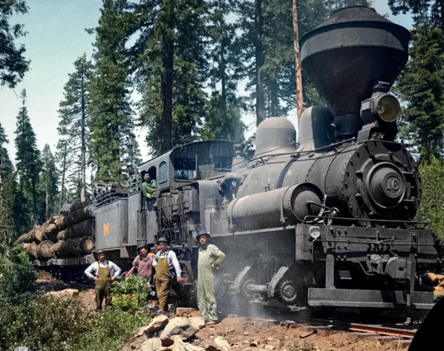 Транспортировка древесины. США, 1910-е.