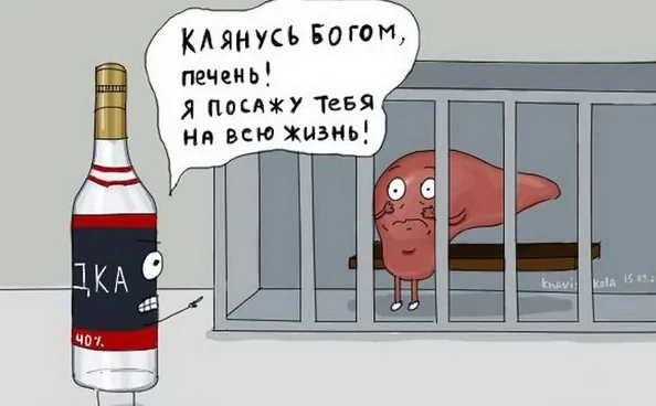 Подборка фразеологических приколов