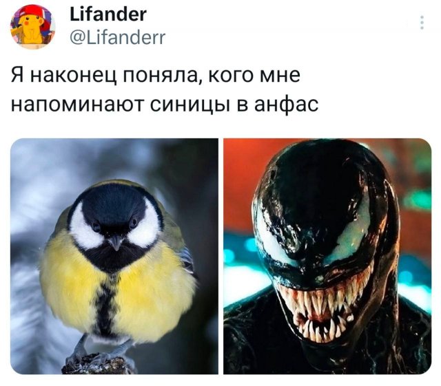 Подборка забавных твитов обо всем