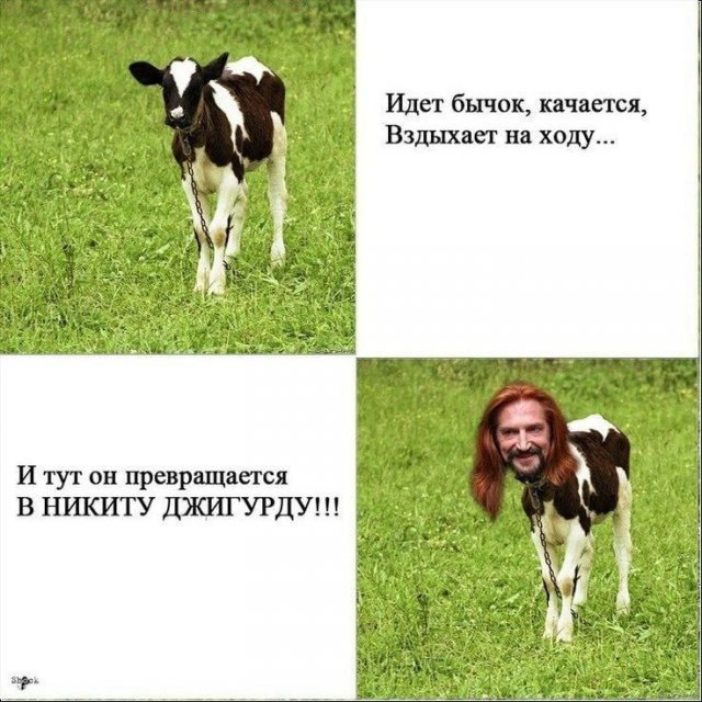 Лучшие шутки и мемы из Сети - 20.11.2025