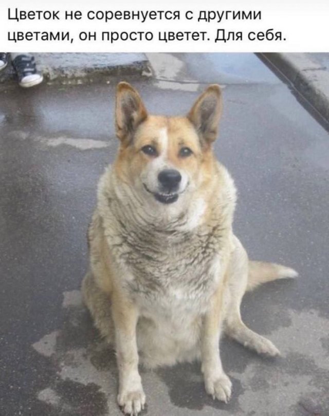 Лучшие шутки и мемы из Сети - 20.11.2025