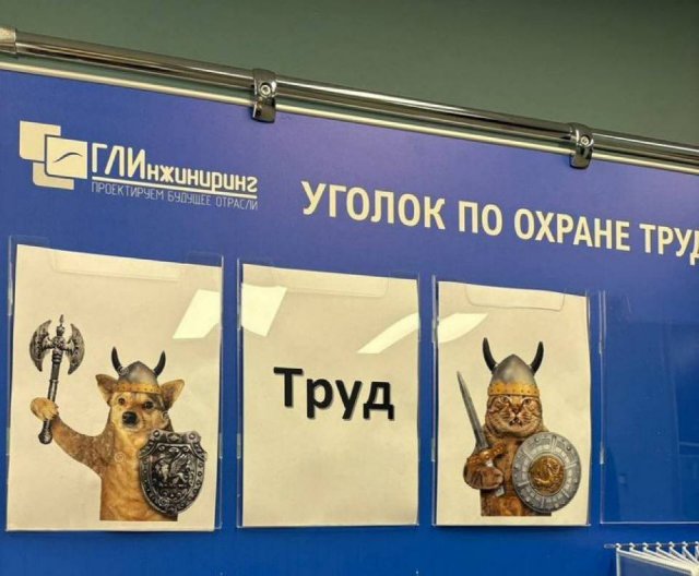 Лучшие шутки и мемы из Сети - 20.11.2025