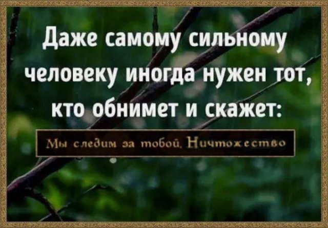 Лучшие шутки и мемы из Сети - 20.11.2025