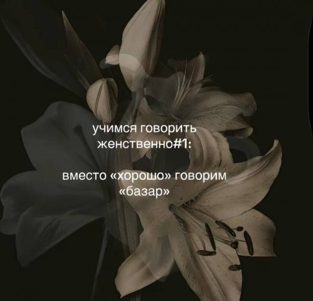 Лучшие шутки и мемы из Сети - 20.11.2025