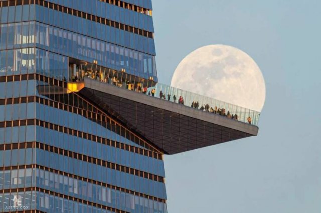 Подборка картинок. Вечерний выпуск - 20.11.2025