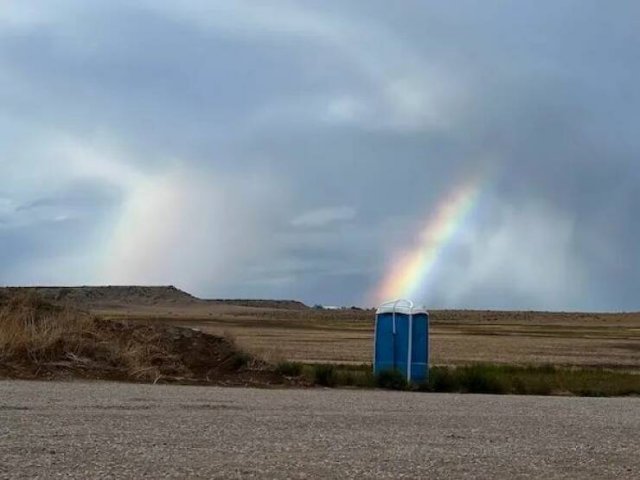 Подборка картинок. Вечерний выпуск - 20.11.2025