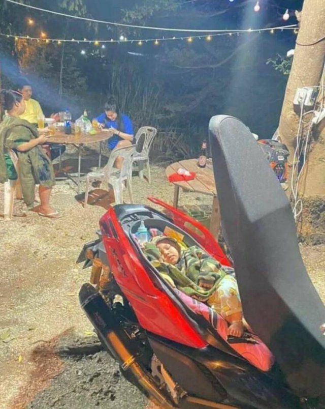 Подборка картинок. Вечерний выпуск - 20.11.2025