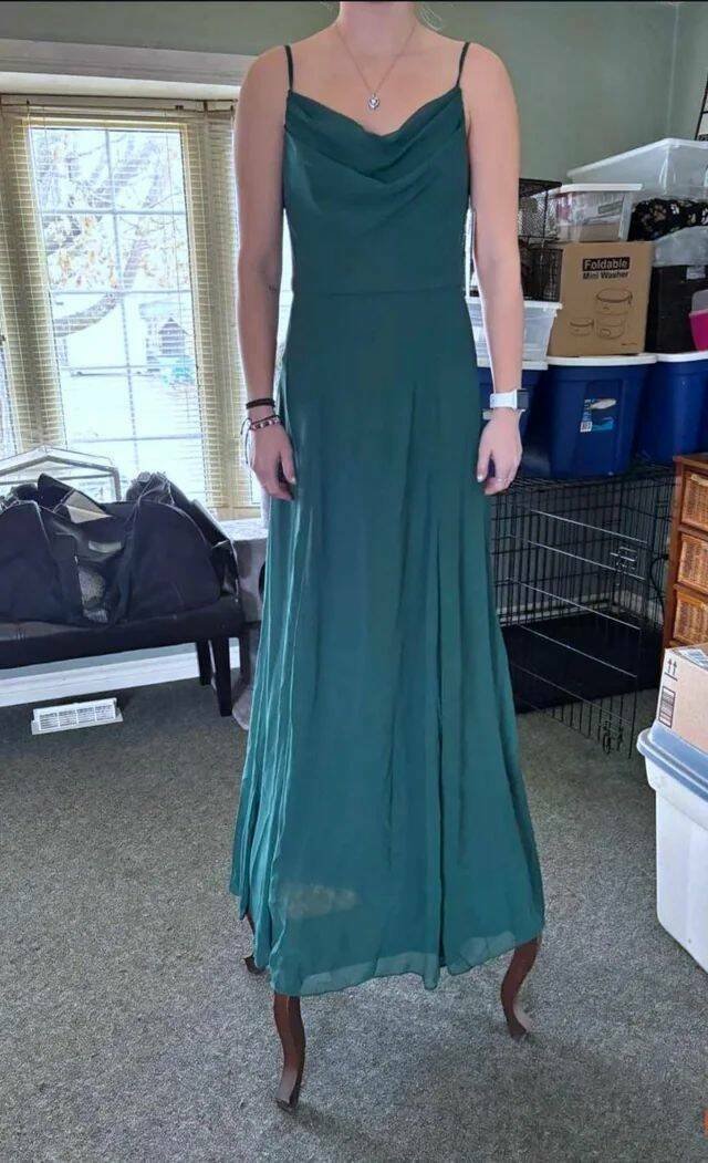 Подборка картинок. Вечерний выпуск - 20.11.2025