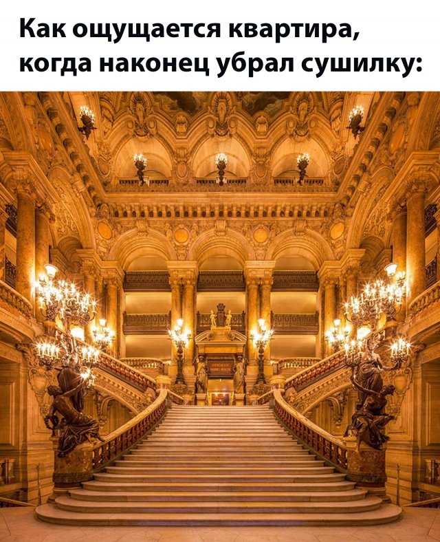 Подборка картинок. Вечерний выпуск - 20.11.2025