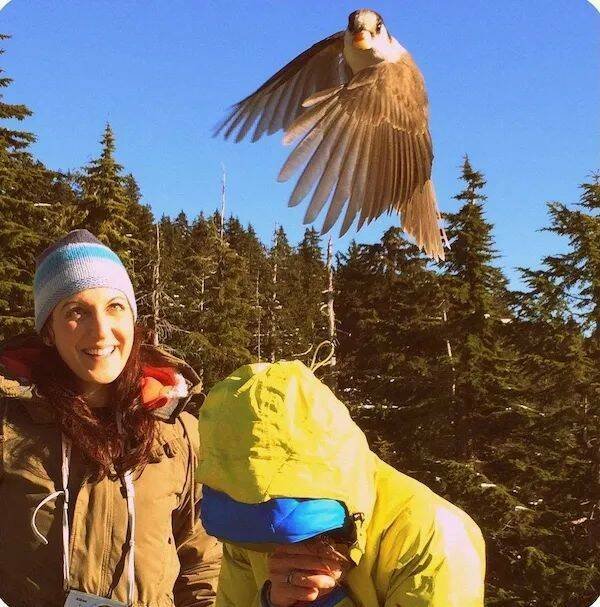 Подборка картинок. Вечерний выпуск - 20.11.2025