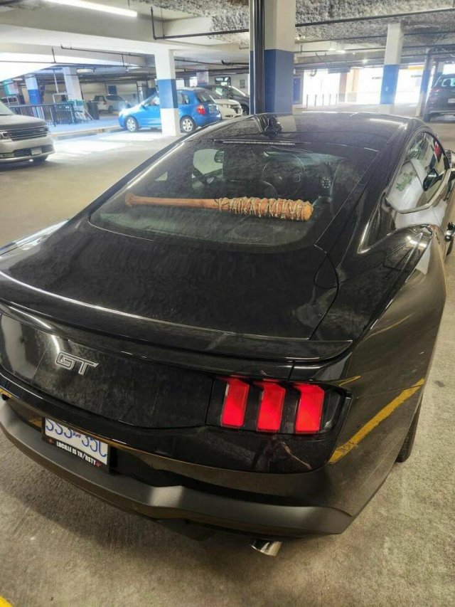 Подборка картинок. Вечерний выпуск - 20.11.2025