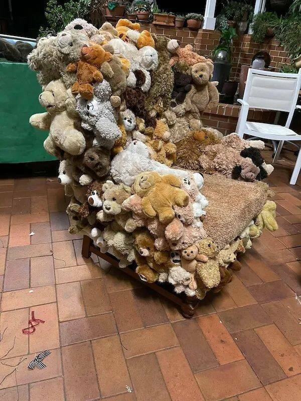 Подборка картинок. Вечерний выпуск - 20.11.2025