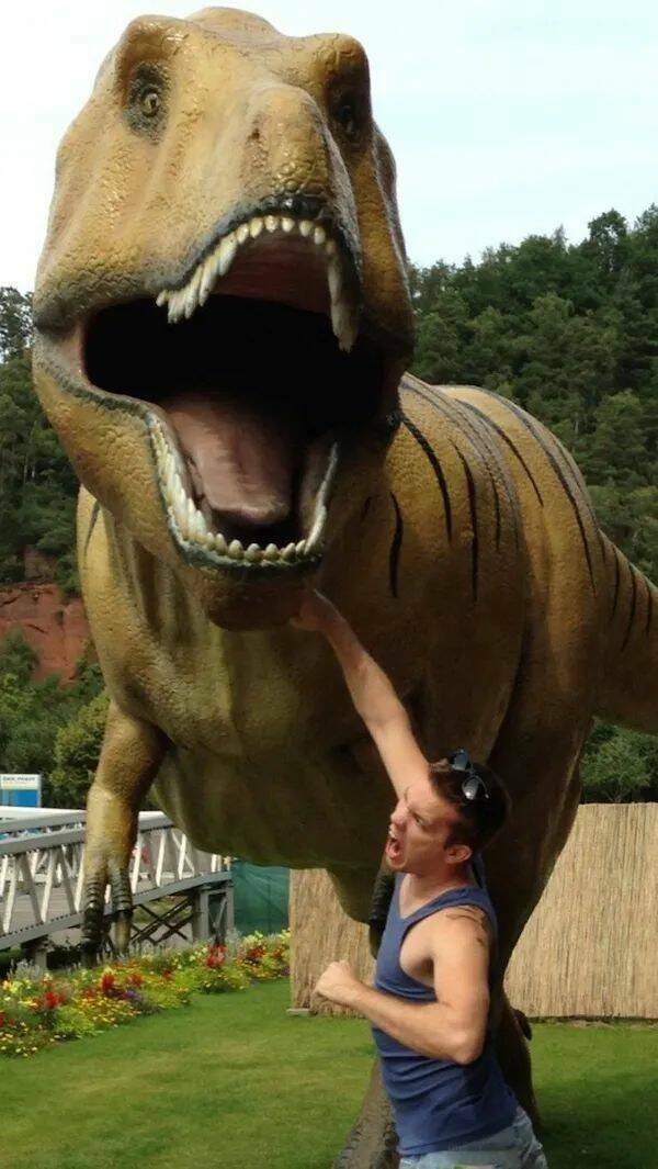 Подборка картинок. Вечерний выпуск - 20.11.2025