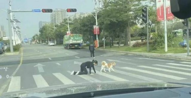 Подборка картинок. Вечерний выпуск - 20.11.2025