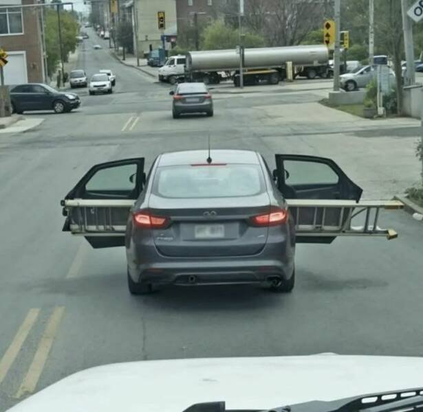 Подборка картинок. Вечерний выпуск - 20.11.2025