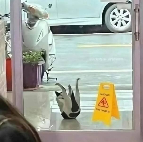 Подборка картинок. Вечерний выпуск - 20.11.2025