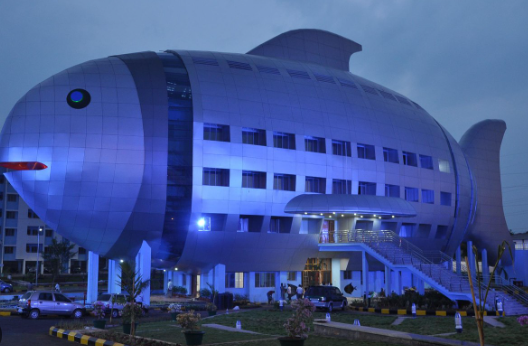 Дом-рыба в Индии