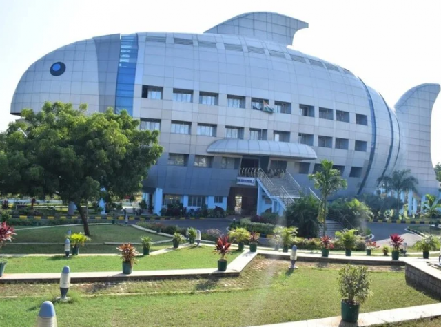 Дом-рыба в Индии