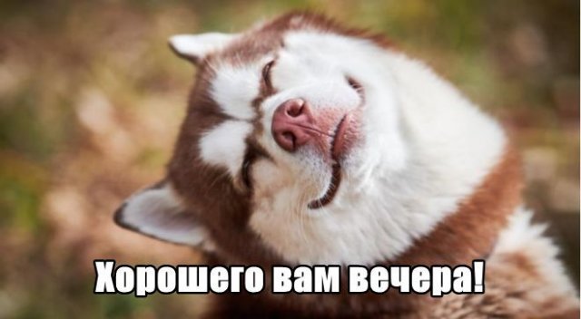 Трынделка - 21.11.2025