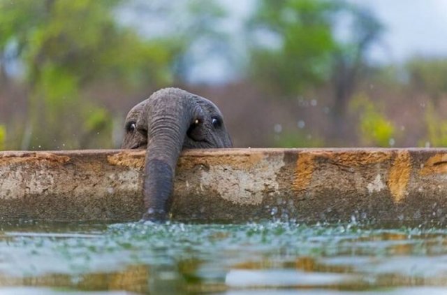 Подборка картинок. Вечерний выпуск - 21.11.2025