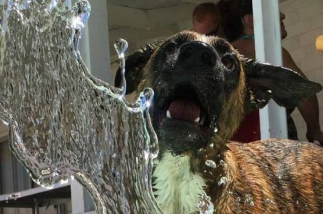 Подборка картинок. Вечерний выпуск - 21.11.2025