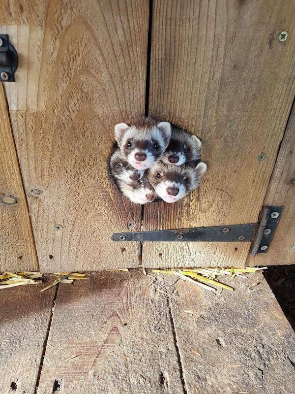 Подборка картинок. Вечерний выпуск - 21.11.2025