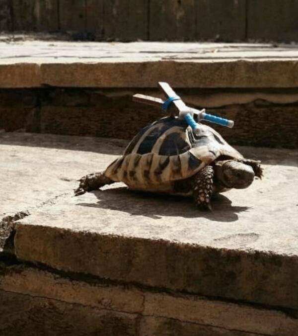 Подборка картинок. Вечерний выпуск - 21.11.2025