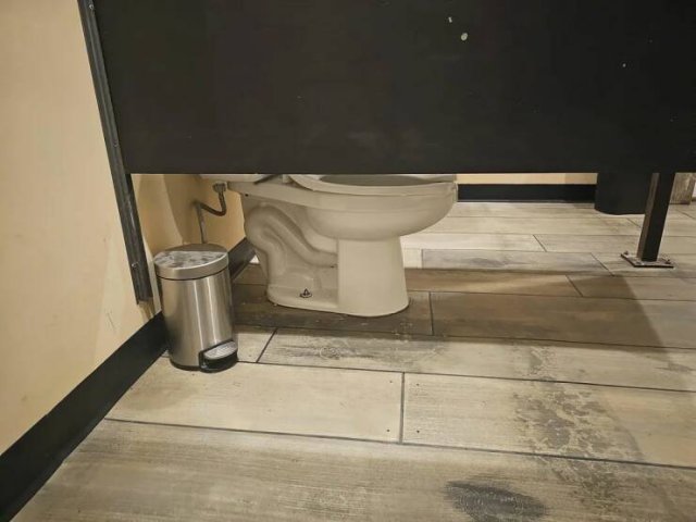 Подборка картинок. Вечерний выпуск - 21.11.2025