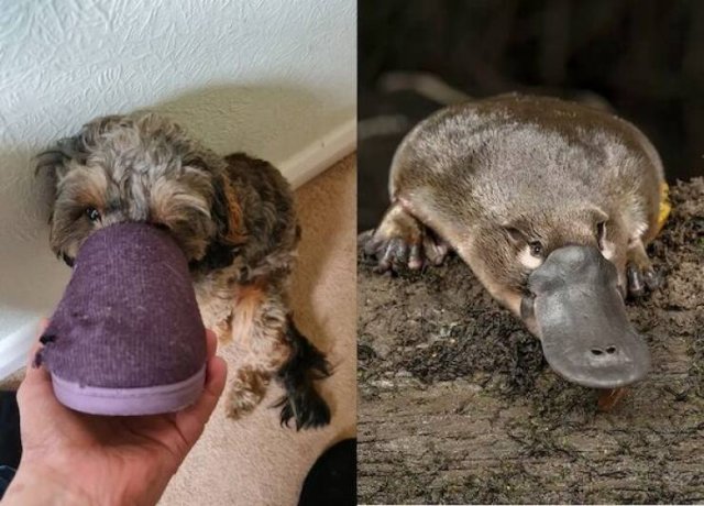 Подборка картинок. Вечерний выпуск - 21.11.2025