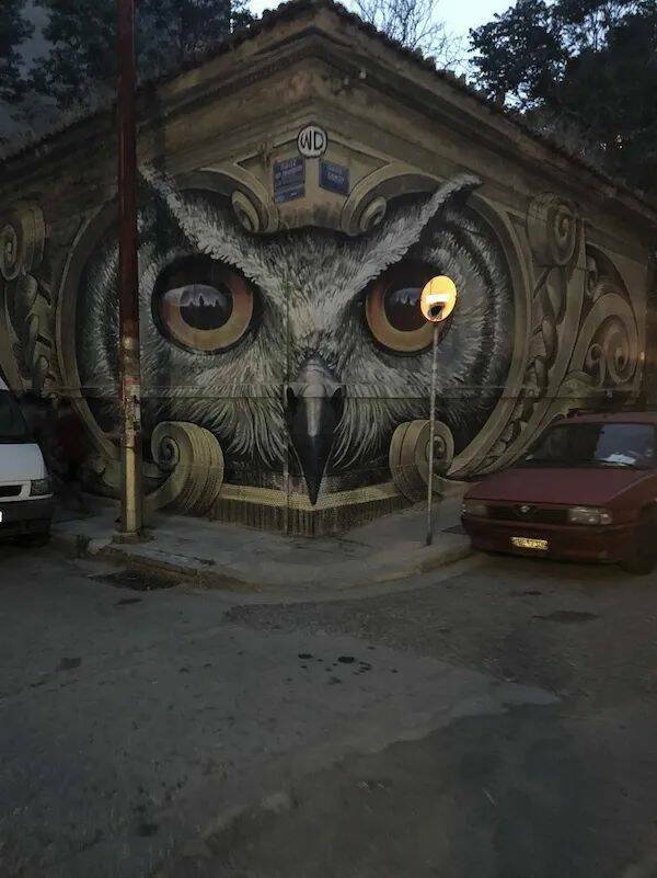 Подборка картинок. Вечерний выпуск - 21.11.2025