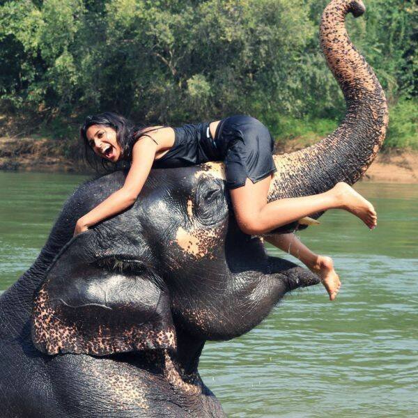 Подборка картинок. Вечерний выпуск - 21.11.2025