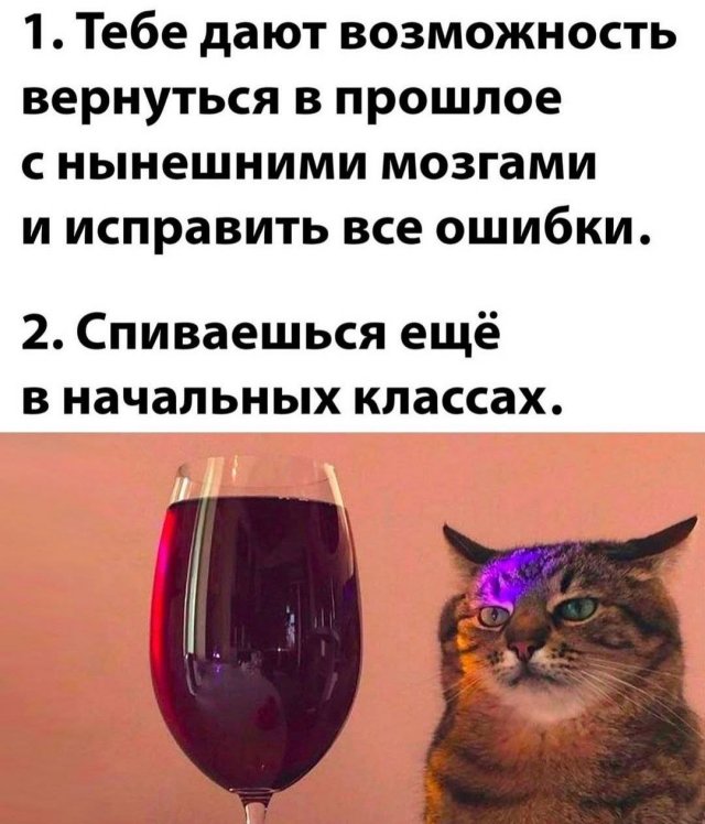 Смешные мемы - 21.11.2025