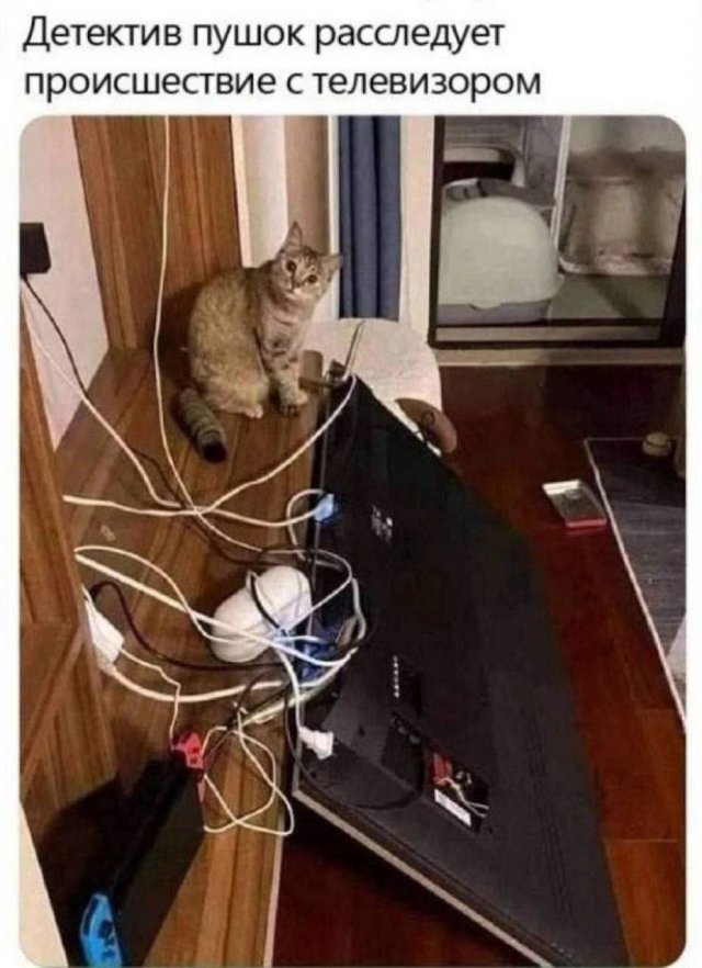 Смешные мемы - 21.11.2025