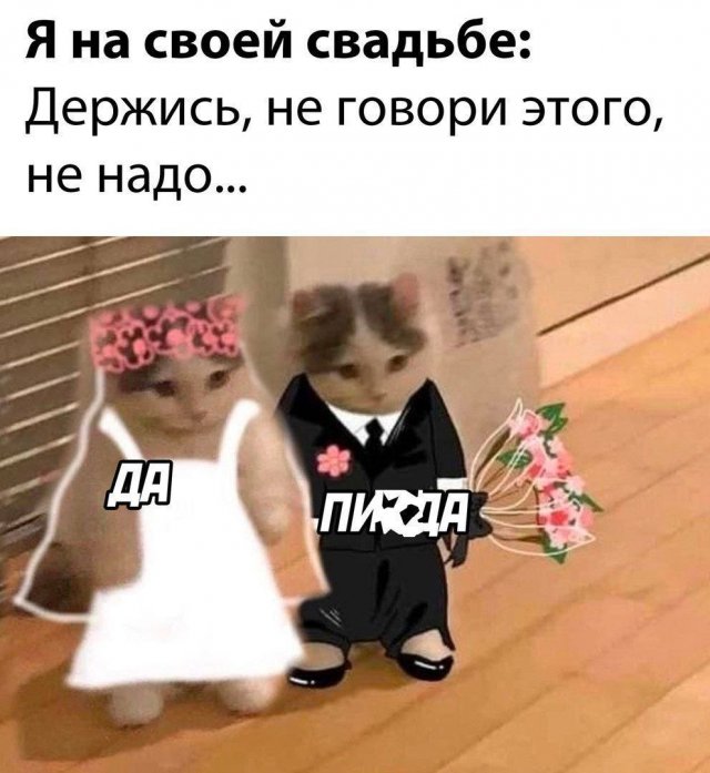 Смешные мемы - 21.11.2025