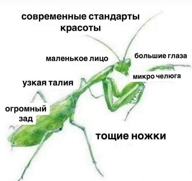 Смешные мемы - 21.11.2025