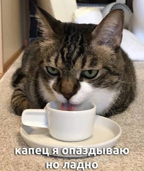 Смешные мемы - 21.11.2025