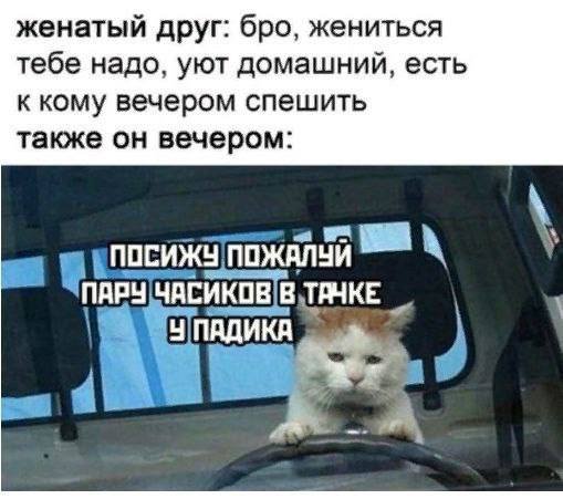 Лучшие шутки и мемы из Сети - 21.11.2025