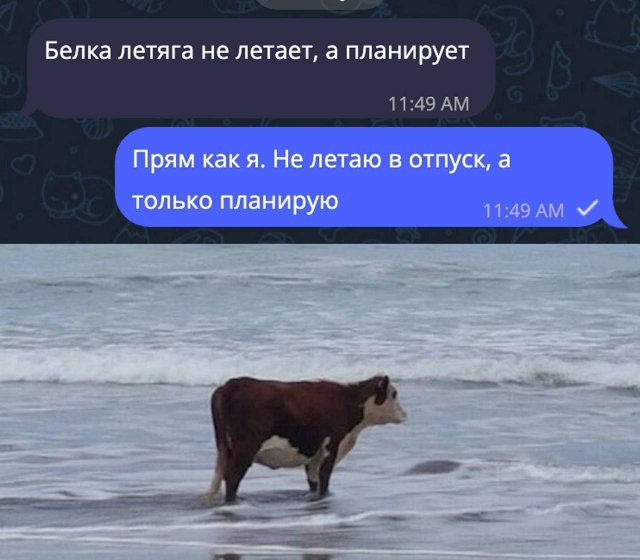 Лучшие шутки и мемы из Сети - 21.11.2025