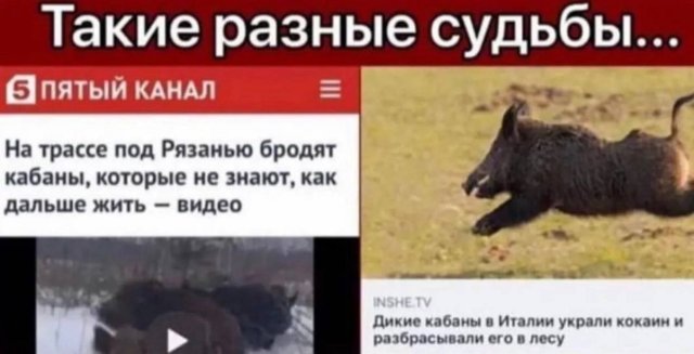 Лучшие шутки и мемы из Сети - 21.11.2025