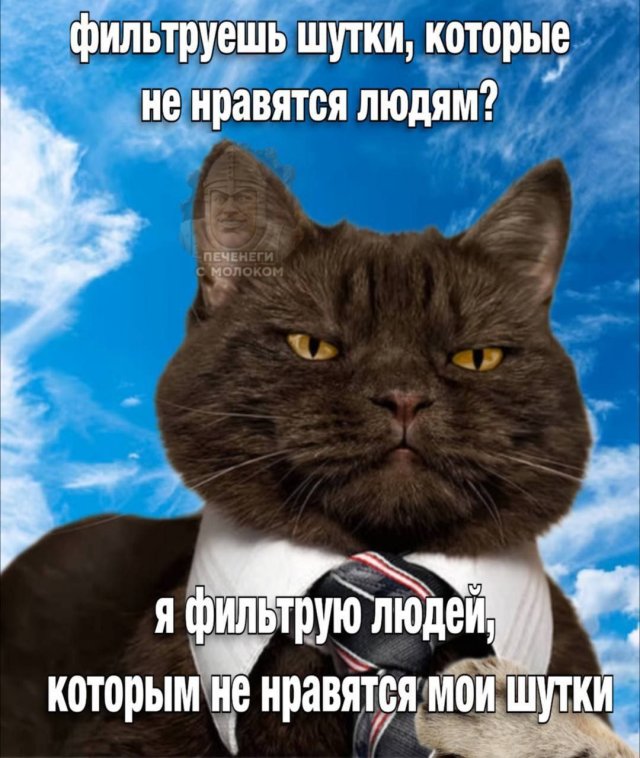 Лучшие шутки и мемы из Сети - 21.11.2025