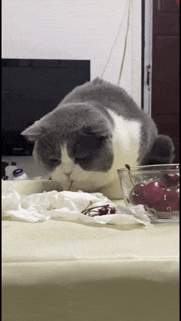 Подборка гифок -  21.11.2025