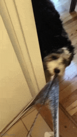 Подборка гифок -  21.11.2025