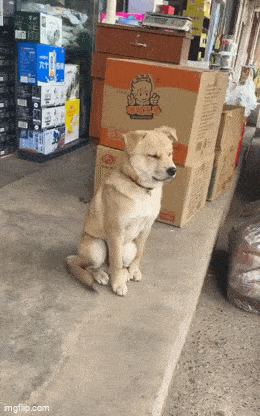 Подборка гифок -  21.11.2025