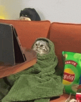 Подборка гифок -  21.11.2025