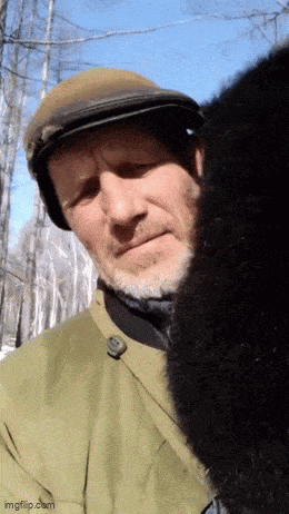 Подборка гифок -  21.11.2025