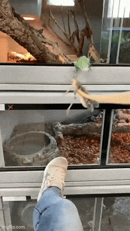 Подборка гифок -  21.11.2025